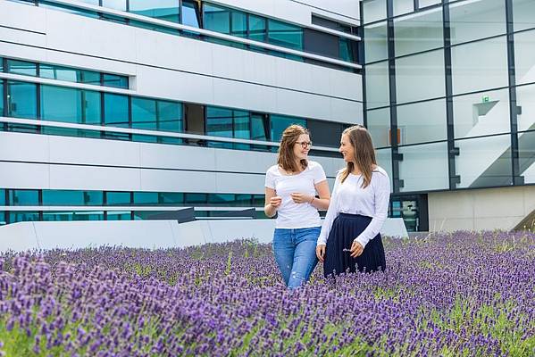 Zwei Frauen gehen in einem Lavendelfeld spazieren und unterhalten sich dabei. Im Hintergrund ist ein verglastes Gebäude zu sehen. 