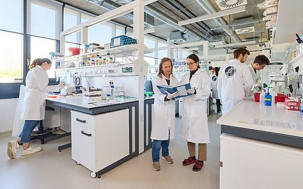 Forscher*innen im Labor Biotechnologie an der FH Campus Wien 