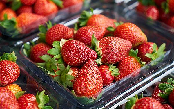 Erdbeeren in Kunststoff-Tasse