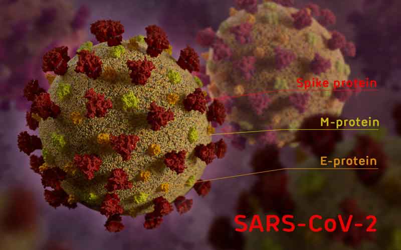 Coronavirus SARS-CoV-2 und Darstellung der Proteine