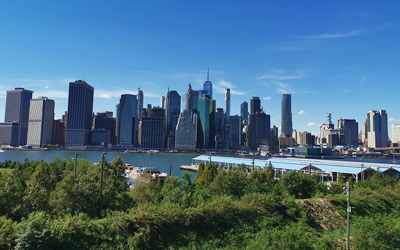 Skyline in New York, im Vordergrund Bäume und der Hudson River