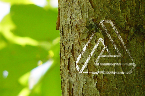 Escher Dreieck auf Baum